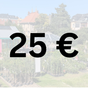 Produkt Gutschein Müller Baum- und Rosenschule Pflanzencenter Oschatz 25 Euro