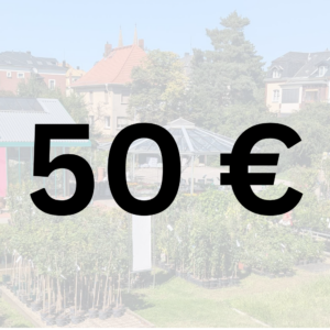 Produkt Gutschein Müller Baum- und Rosenschule Pflanzencenter Oschatz 50 Euro