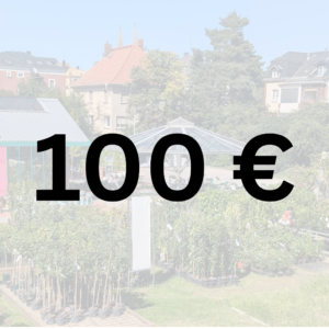Produkt Gutschein Müller Baum- und Rosenschule Pflanzencenter Oschatz 100 Euro