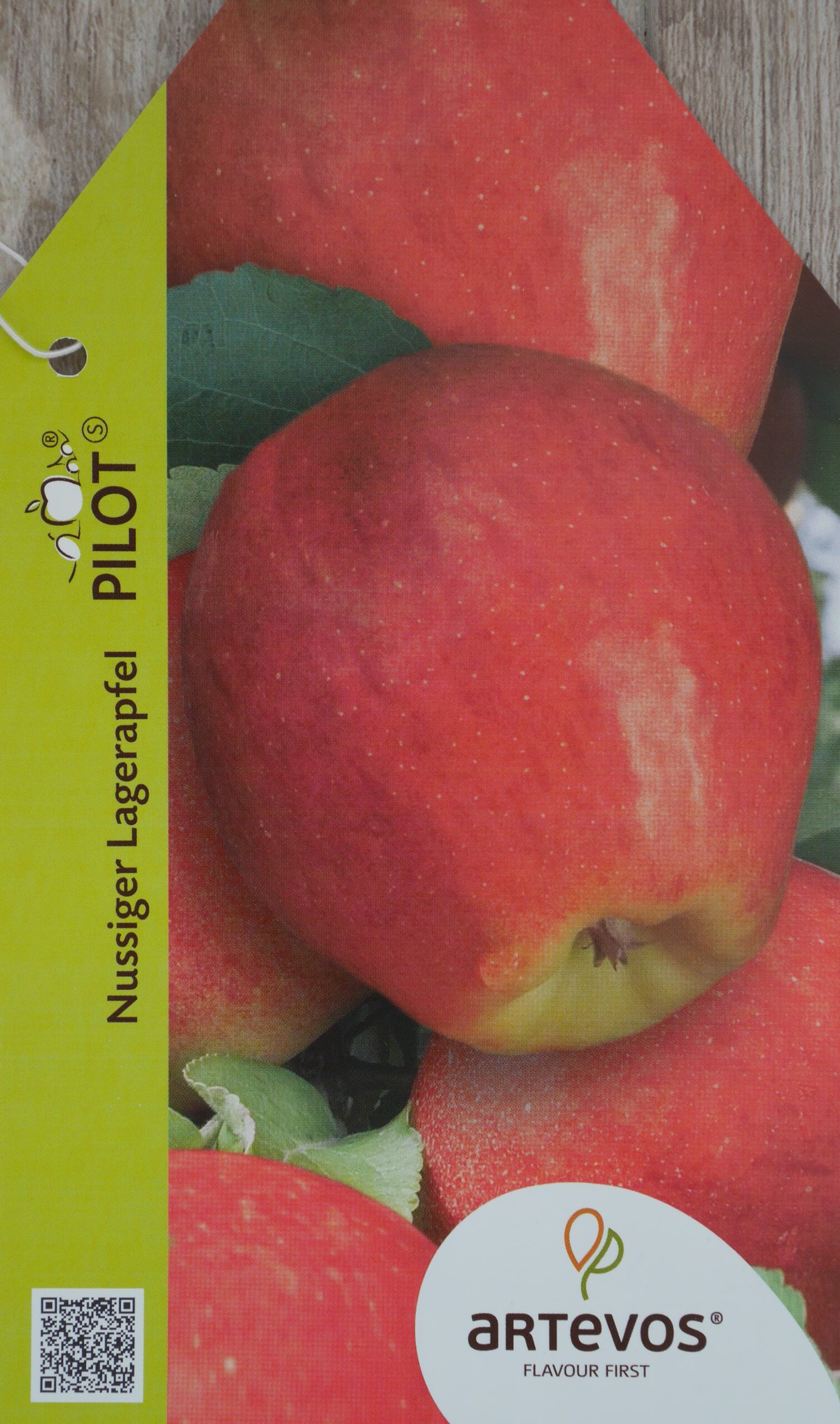 Apfel 'Pilot'® – Bild 3