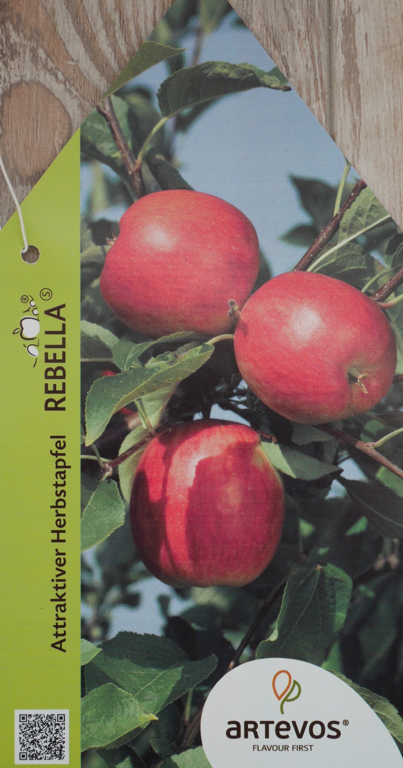 Apfel 'Rebella'® – Bild 4